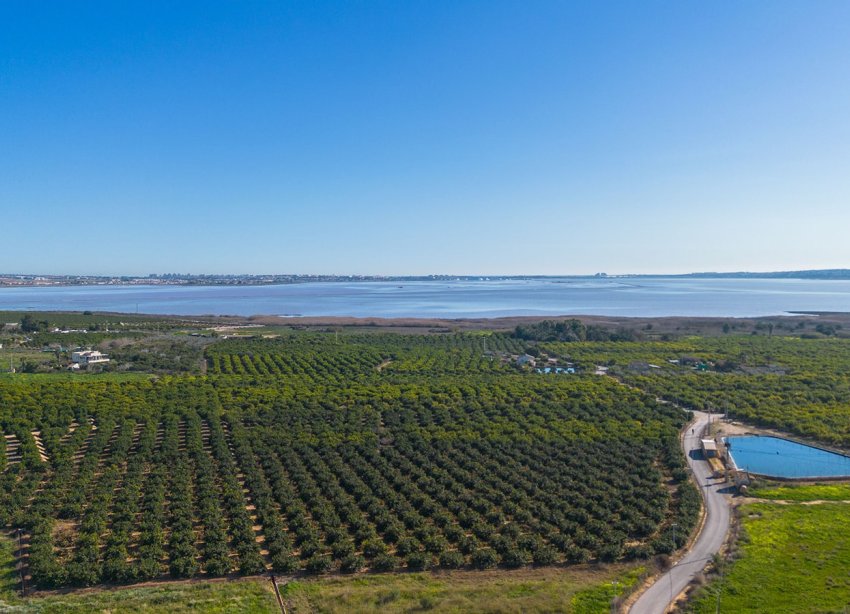 Reventa - Apartamento - Los Montesinos