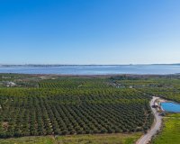 Reventa - Apartamento - Los Montesinos