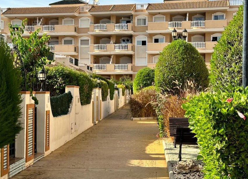 Reventa - Apartamento - Orihuela Costa - Agua Marina
