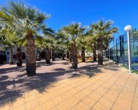 Reventa - Apartamento - Orihuela Costa - Agua Marina