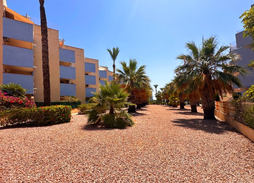 Reventa - Apartamento - Orihuela Costa - Agua Marina