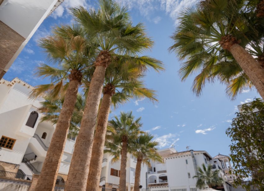 Reventa - Apartamento - Orihuela - Costa Blanca