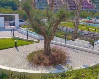 Reventa - Apartamento - Orihuela - Costa Blanca