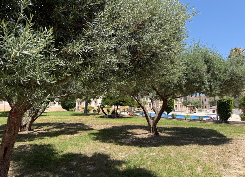 Reventa - Apartamento - Orihuela Costa - Blue Lagoon