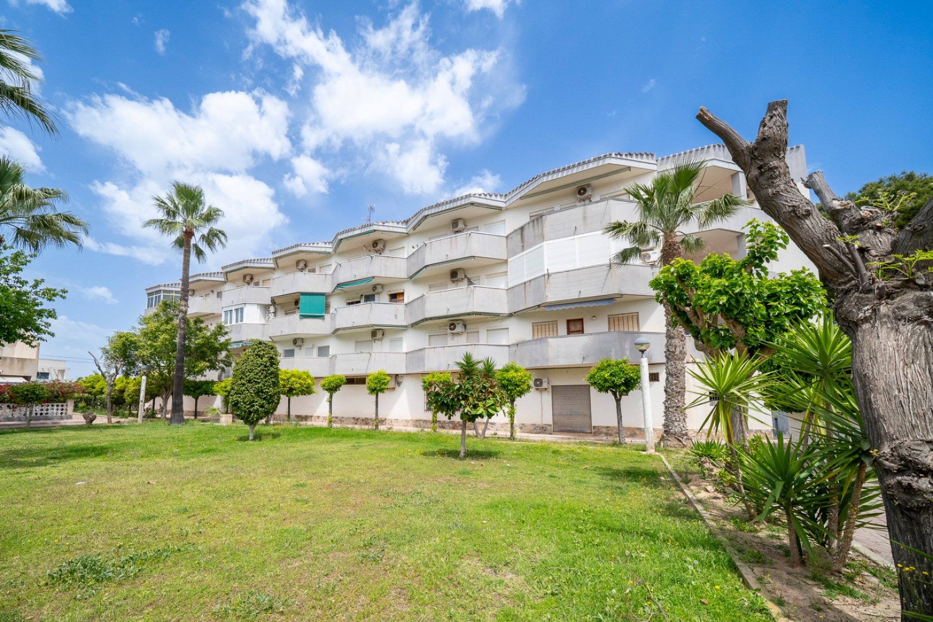 Reventa - Apartamento - Orihuela Costa - Cabo Roig