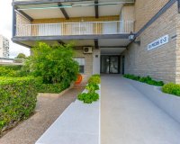 Reventa - Apartamento - Orihuela Costa - Campoamor