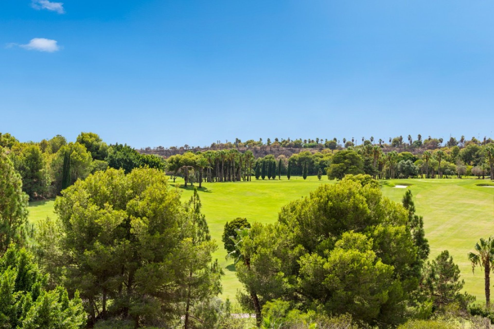 Reventa - Apartamento - Orihuela Costa - Campoamor