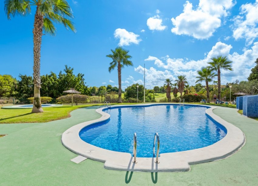 Reventa - Apartamento - Orihuela Costa - Campoamor