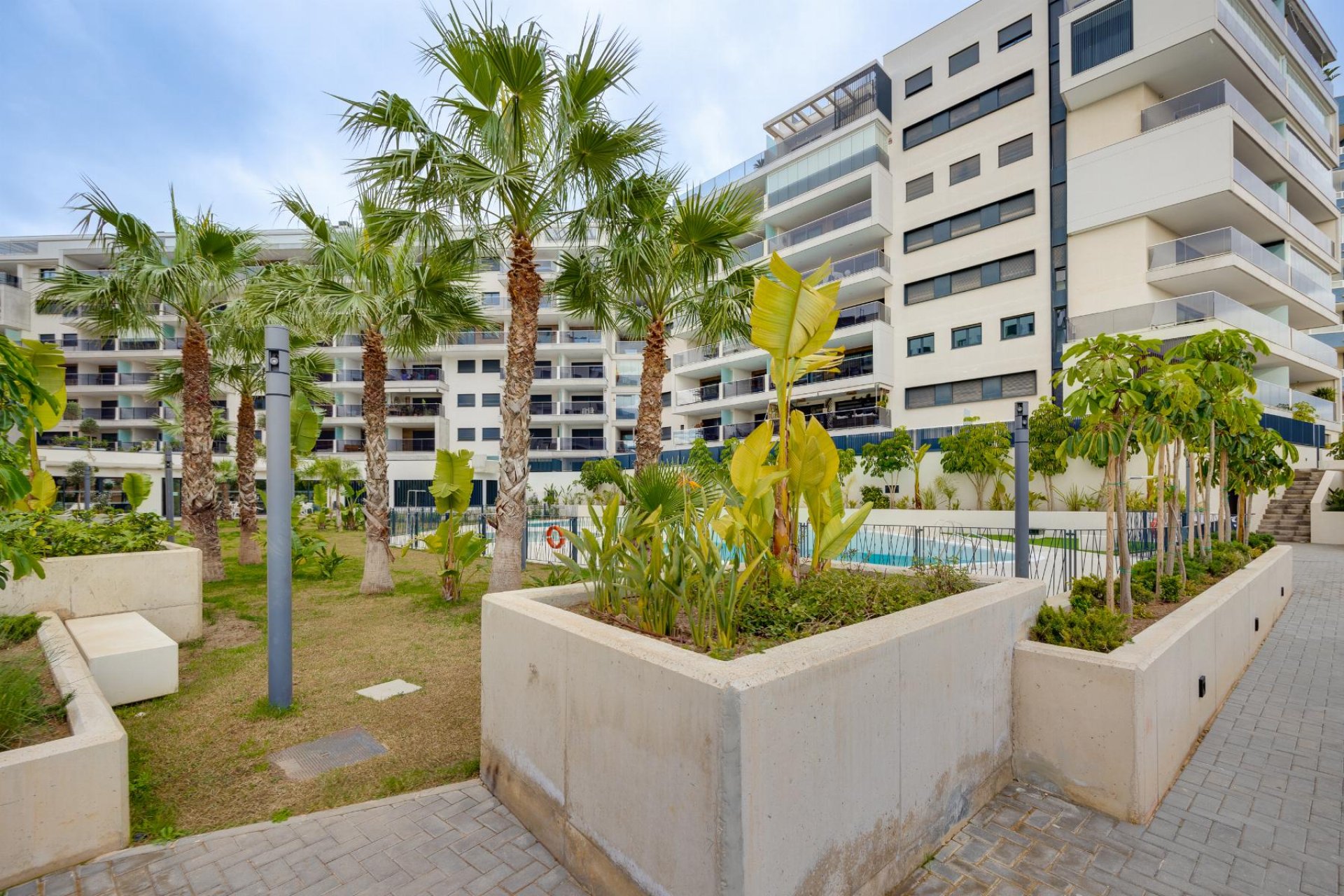 Reventa - Apartamento - Orihuela Costa - Campoamor