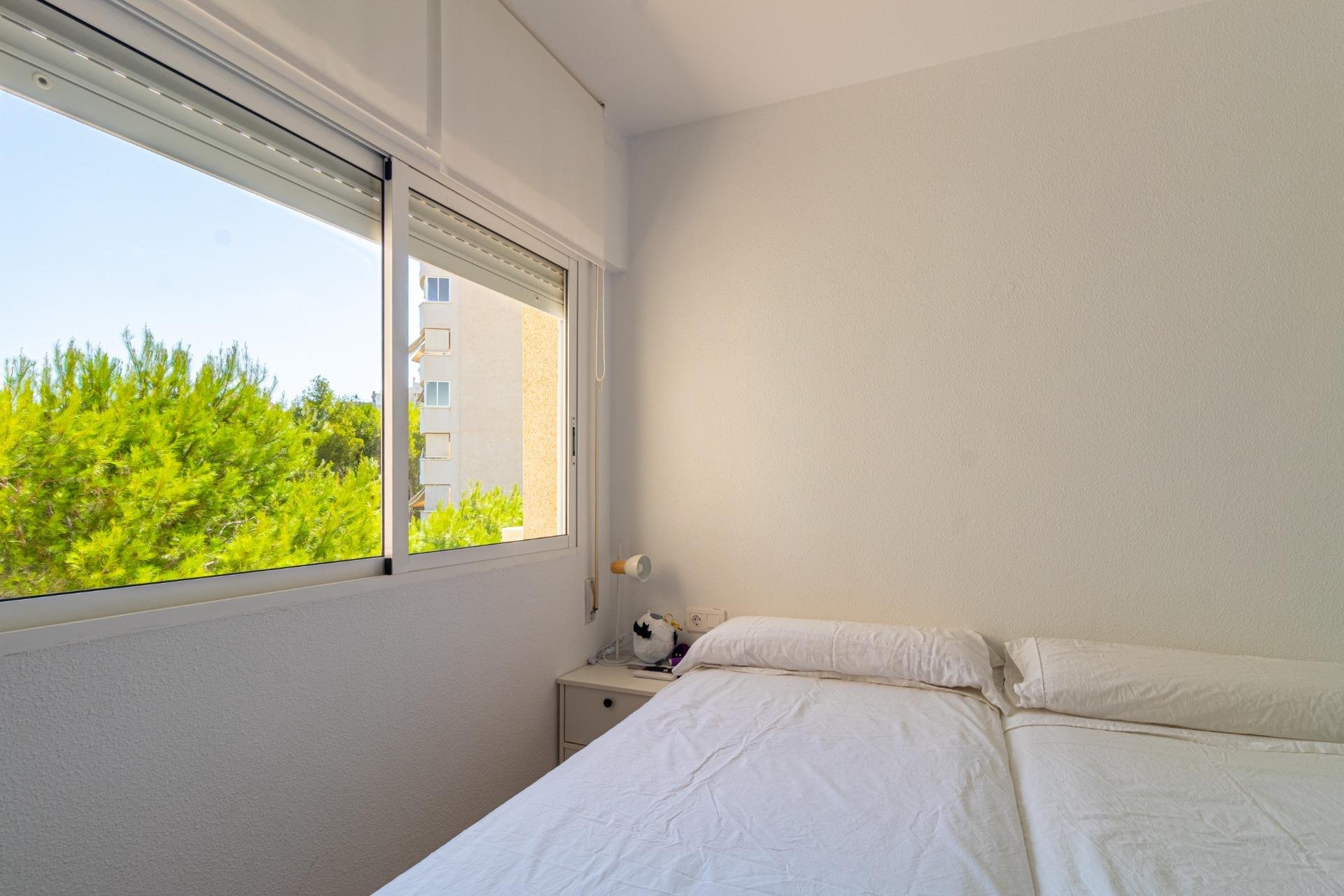 Reventa - Apartamento - Orihuela Costa - Campoamor