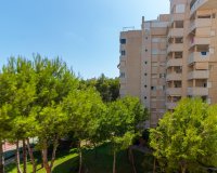 Reventa - Apartamento - Orihuela Costa - Campoamor