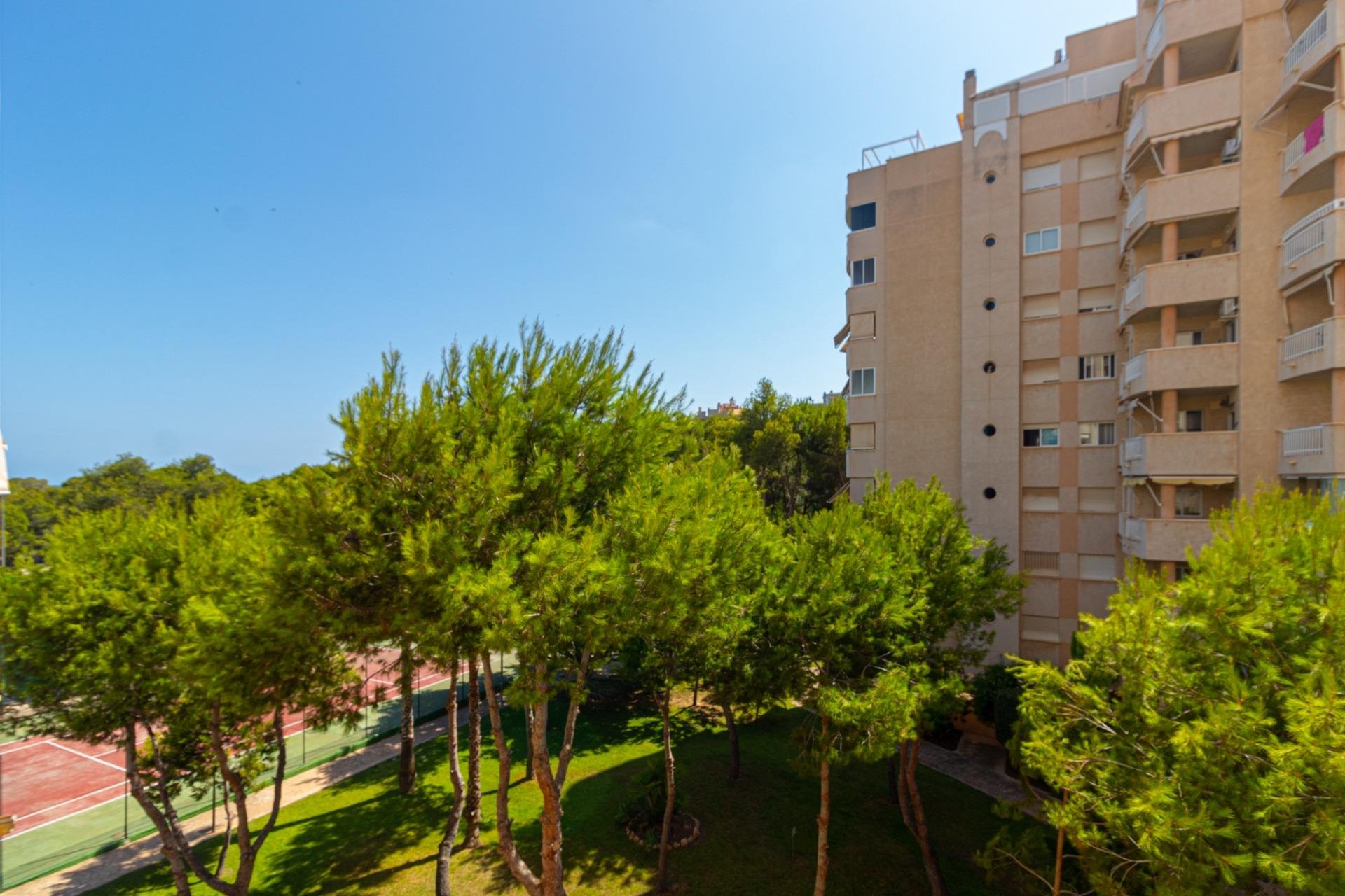 Reventa - Apartamento - Orihuela Costa - Campoamor