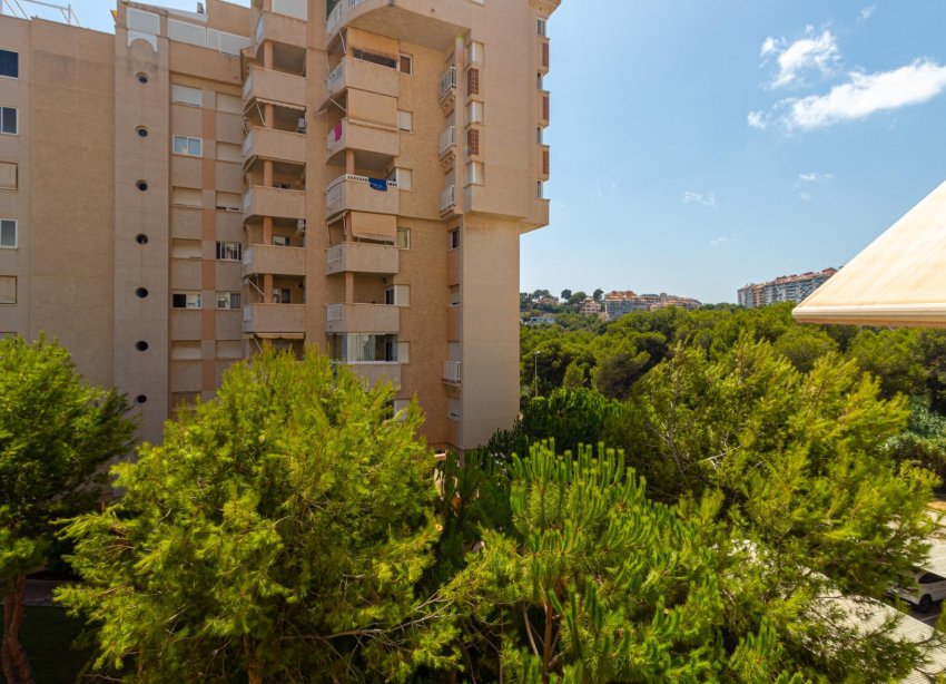 Reventa - Apartamento - Orihuela Costa - Campoamor