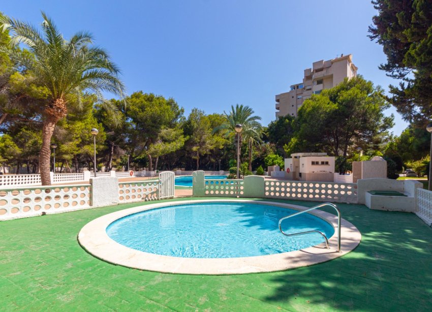 Reventa - Apartamento - Orihuela Costa - Campoamor