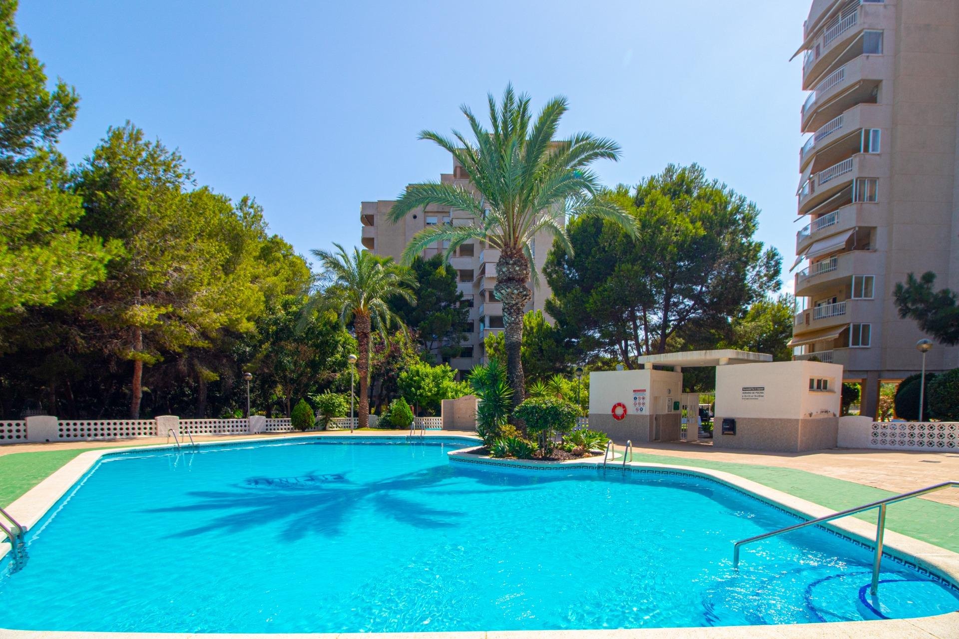Reventa - Apartamento - Orihuela Costa - Campoamor
