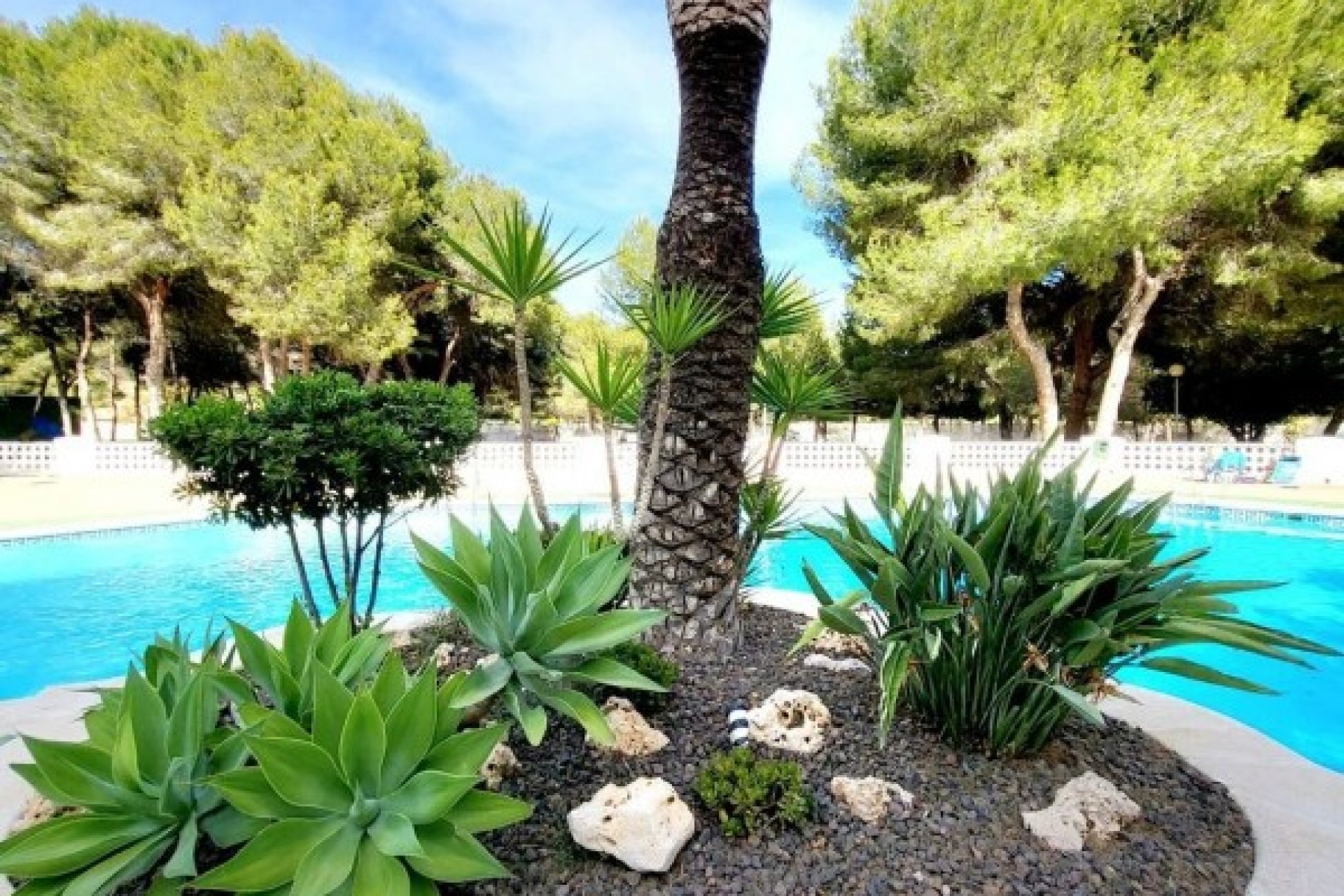 Reventa - Apartamento - Orihuela Costa - Dehesa De Campoamor