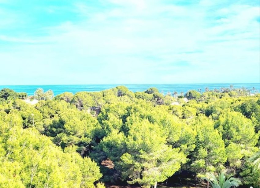 Reventa - Apartamento - Orihuela Costa - Dehesa De Campoamor