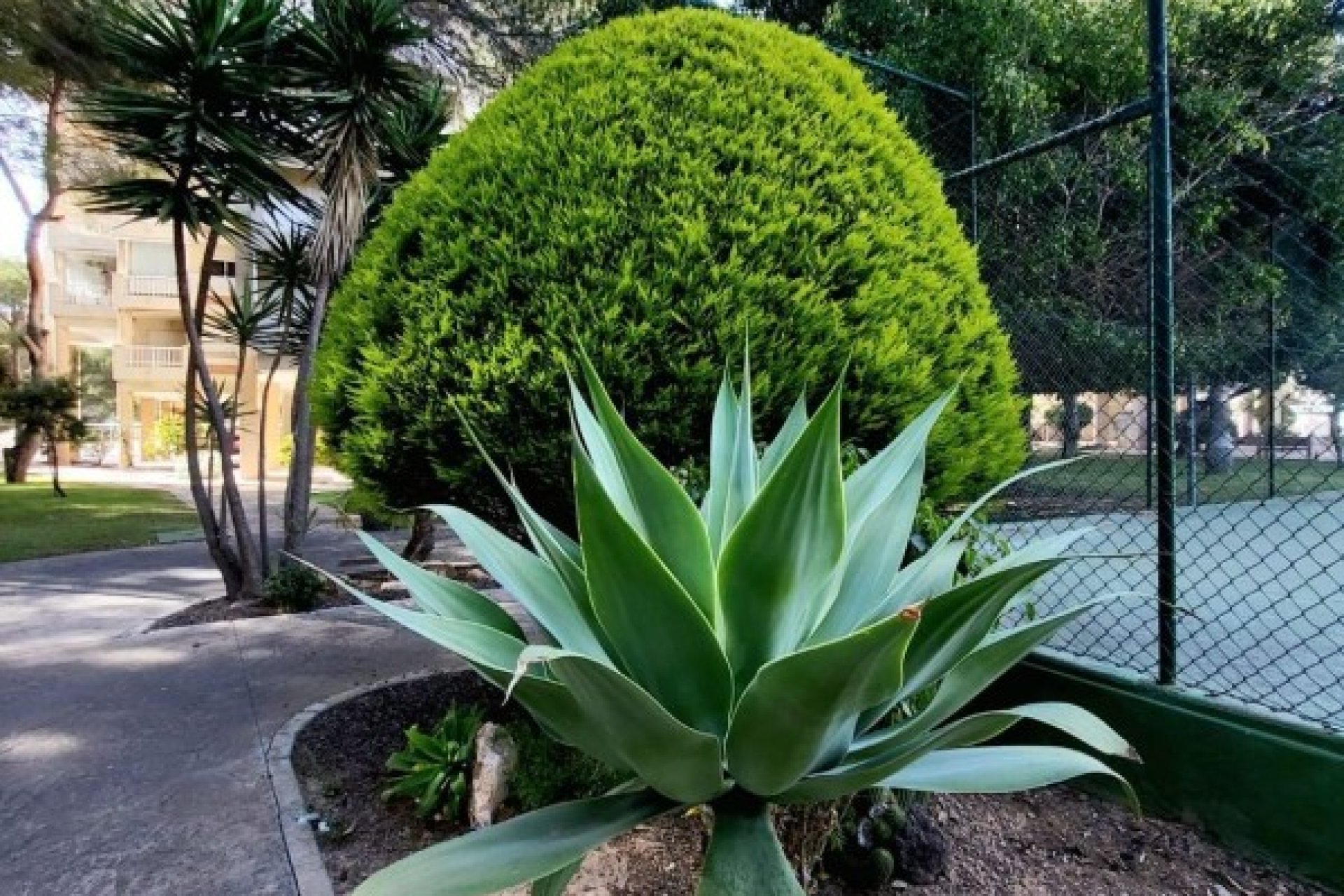 Reventa - Apartamento - Orihuela Costa - Dehesa De Campoamor