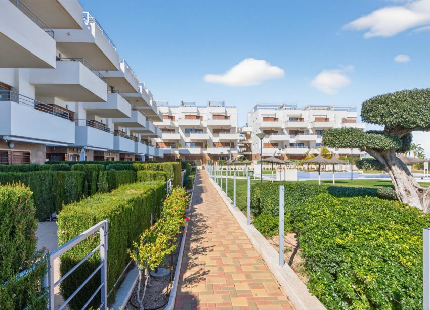 Reventa - Apartamento - Orihuela Costa - Dehesa de Campoamor