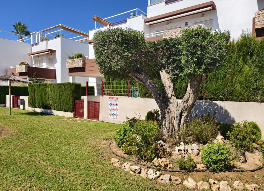 Reventa - Apartamento - Orihuela Costa - La Ciñuelica