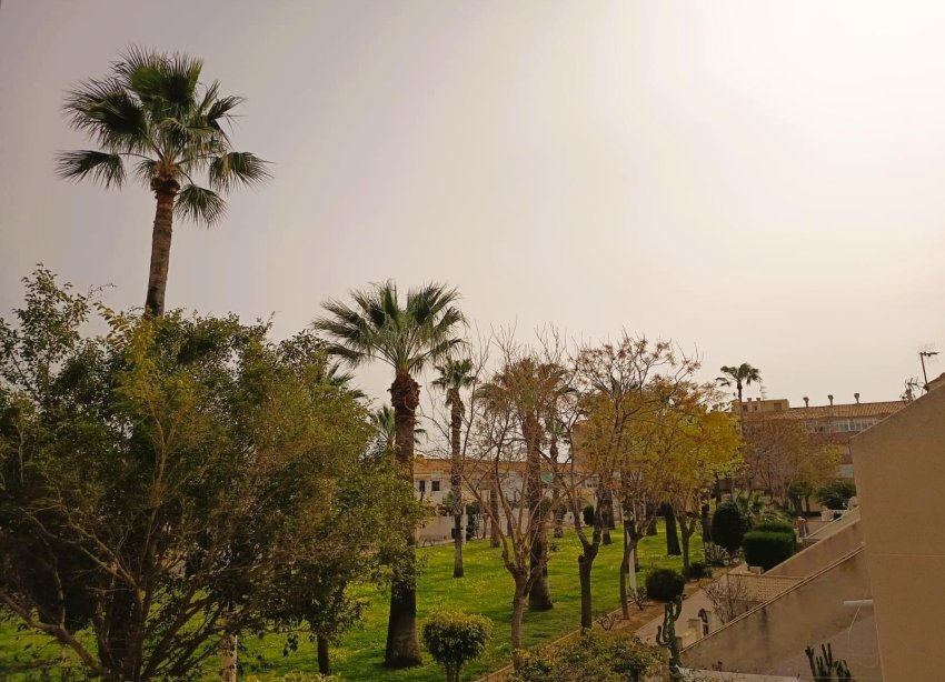 Reventa - Apartamento - Orihuela Costa - La Regia