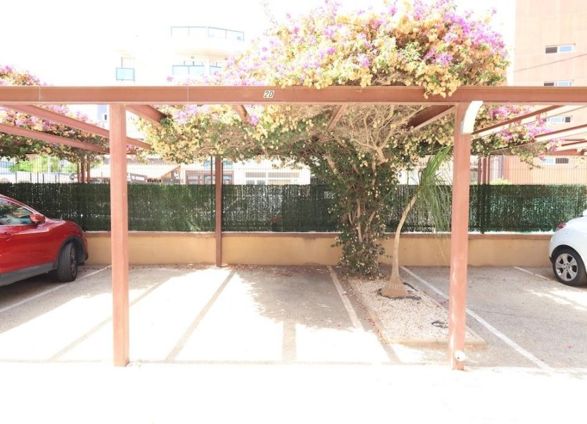 Reventa - Apartamento - Orihuela Costa - La Regia