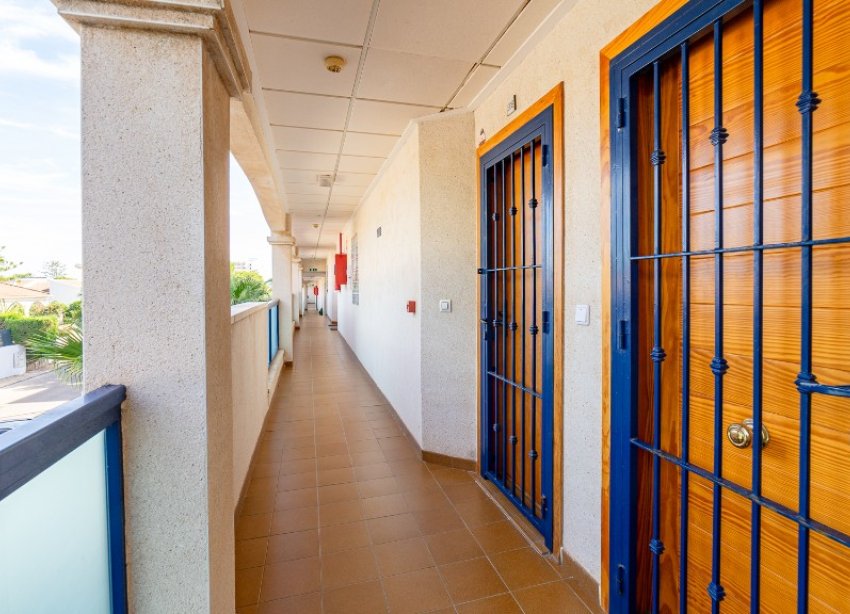 Reventa - Apartamento - Orihuela Costa - La Zenia