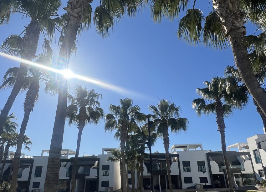 Reventa - Apartamento - Orihuela Costa - La Zenia