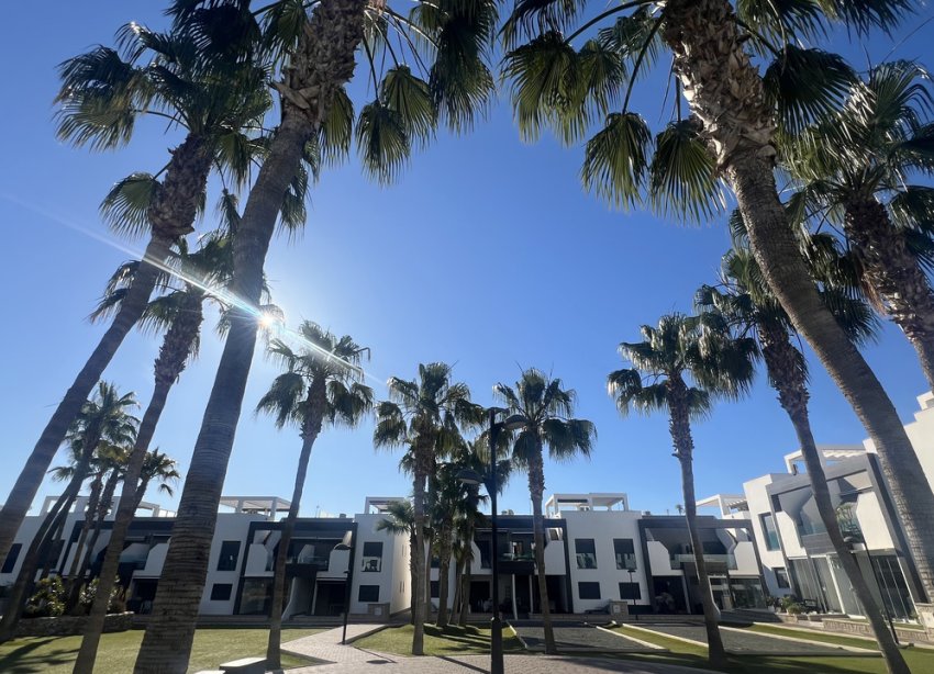 Reventa - Apartamento - Orihuela Costa - La Zenia