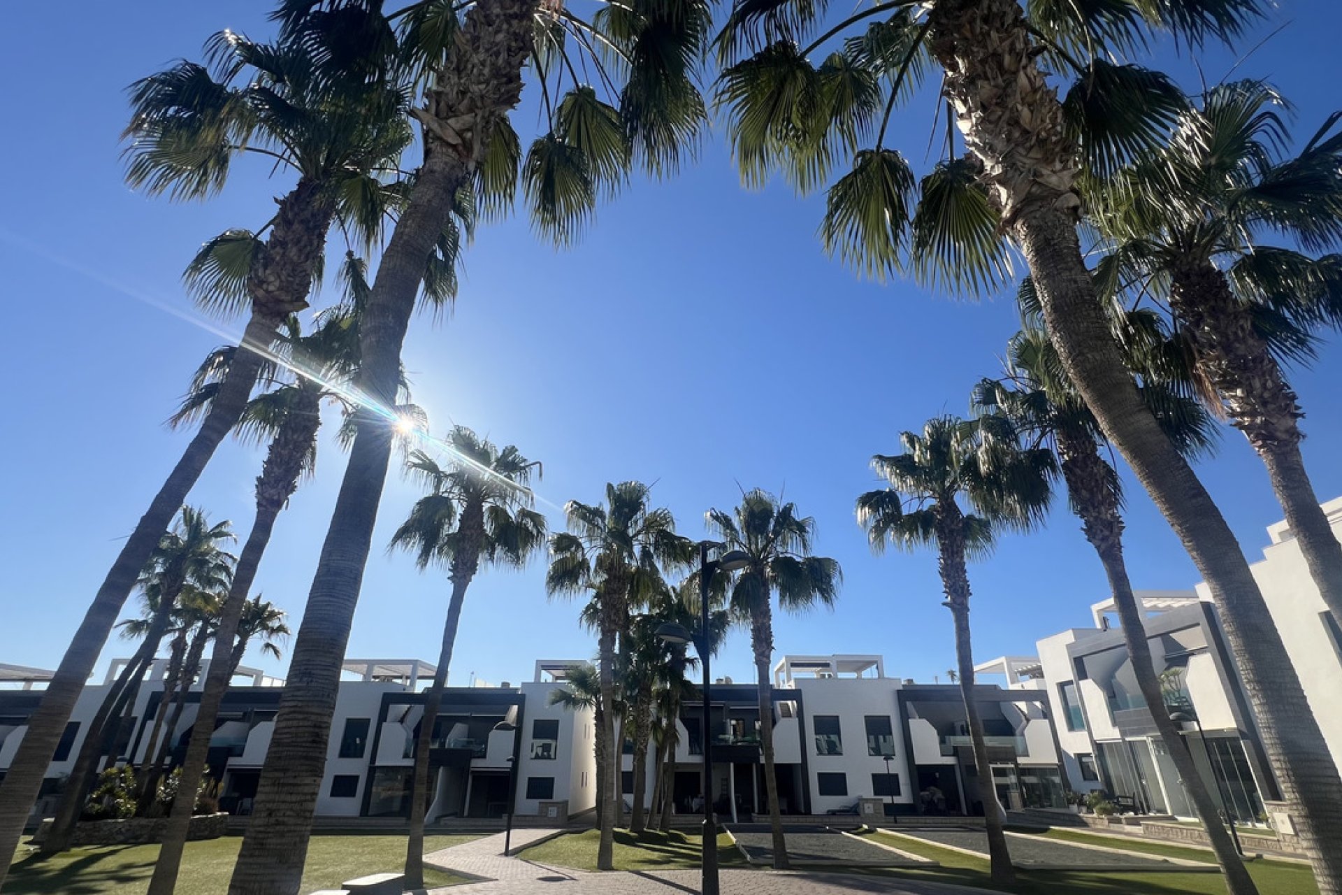 Reventa - Apartamento - Orihuela Costa - La Zenia