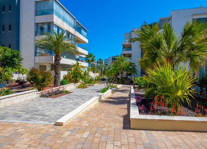 Reventa - Apartamento - Orihuela Costa - Los Dolses