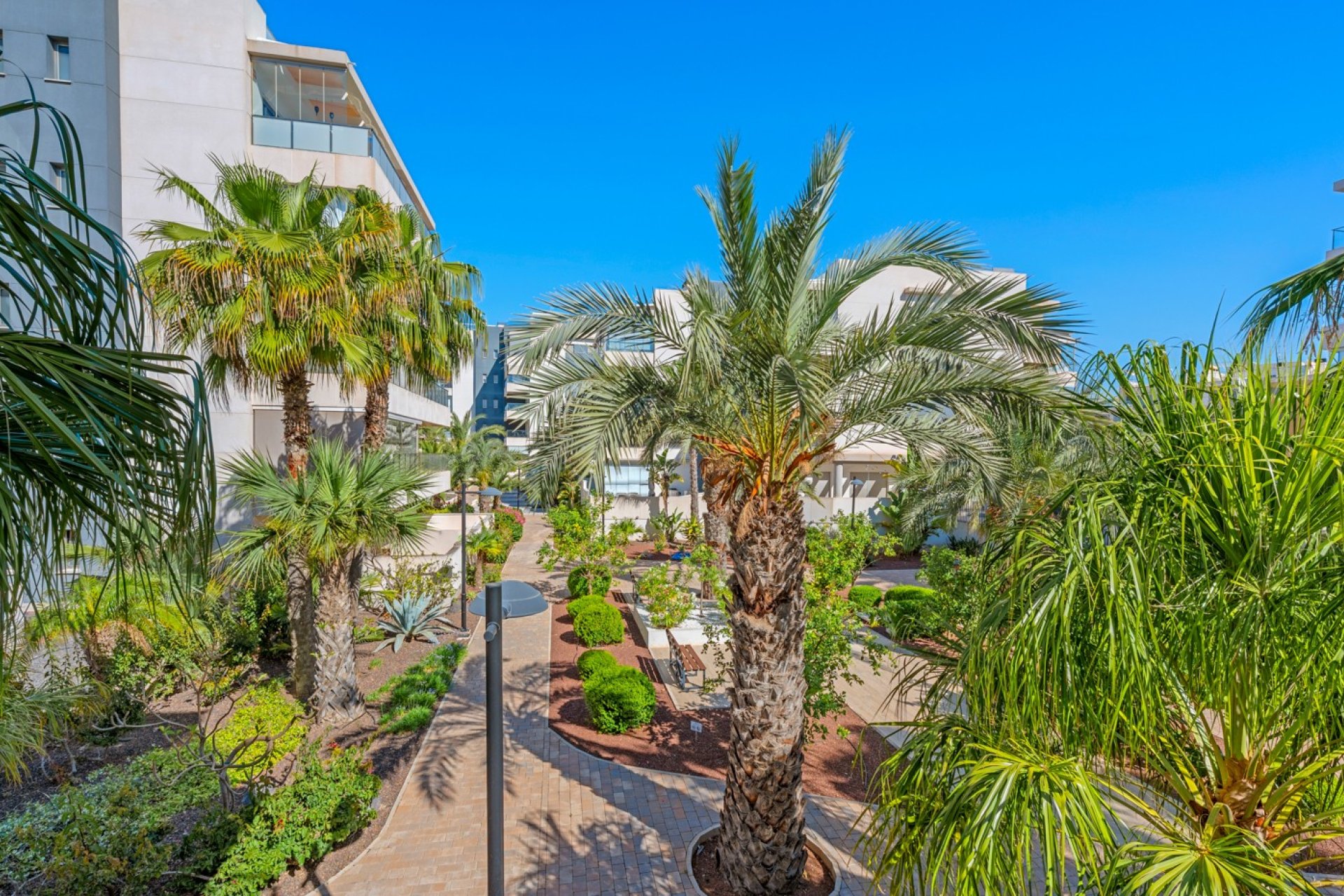 Reventa - Apartamento - Orihuela Costa - Los Dolses