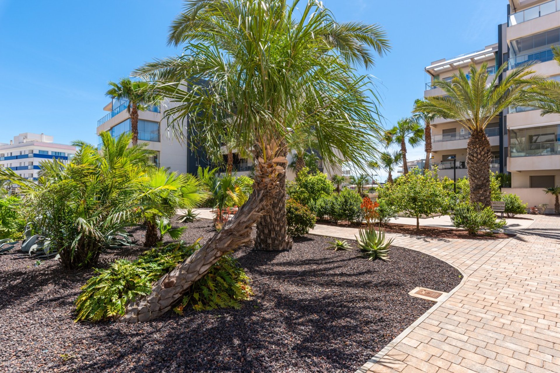 Reventa - Apartamento - Orihuela Costa - Los Dolses