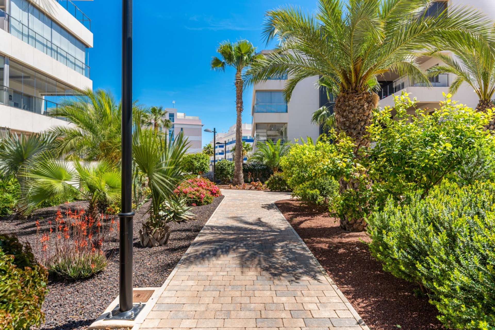 Reventa - Apartamento - Orihuela Costa - Los Dolses