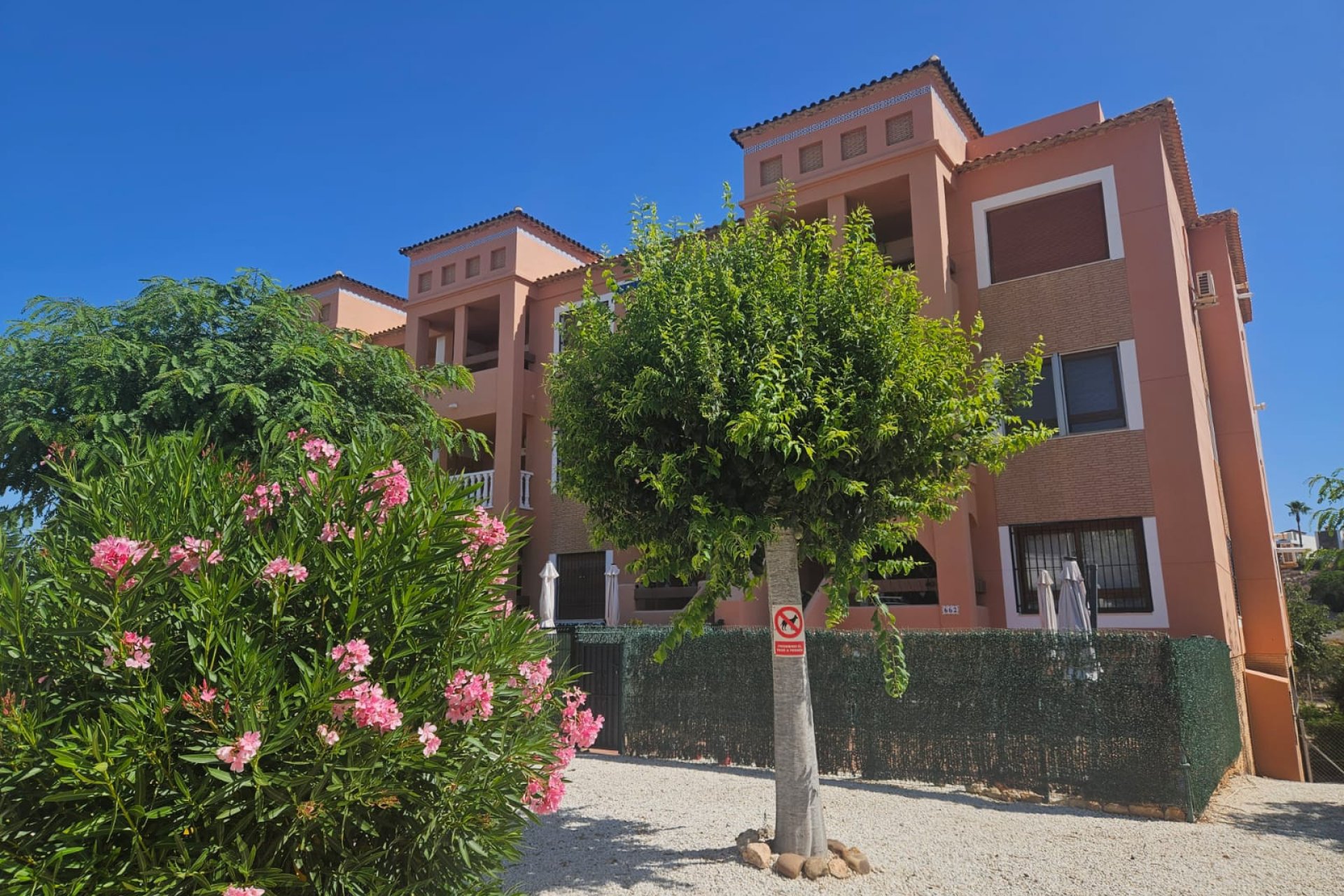 Reventa - Apartamento - Orihuela Costa - PAU 8