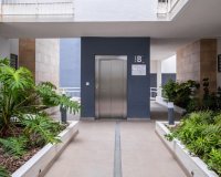 Reventa - Apartamento - Orihuela Costa - Playa Flamenca