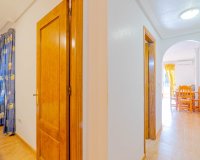 Reventa - Apartamento - Orihuela Costa - Playa Flamenca