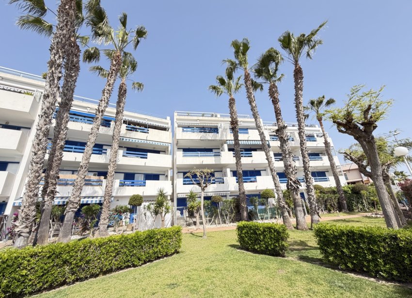 Reventa - Apartamento - Orihuela Costa - Playa Flamenca