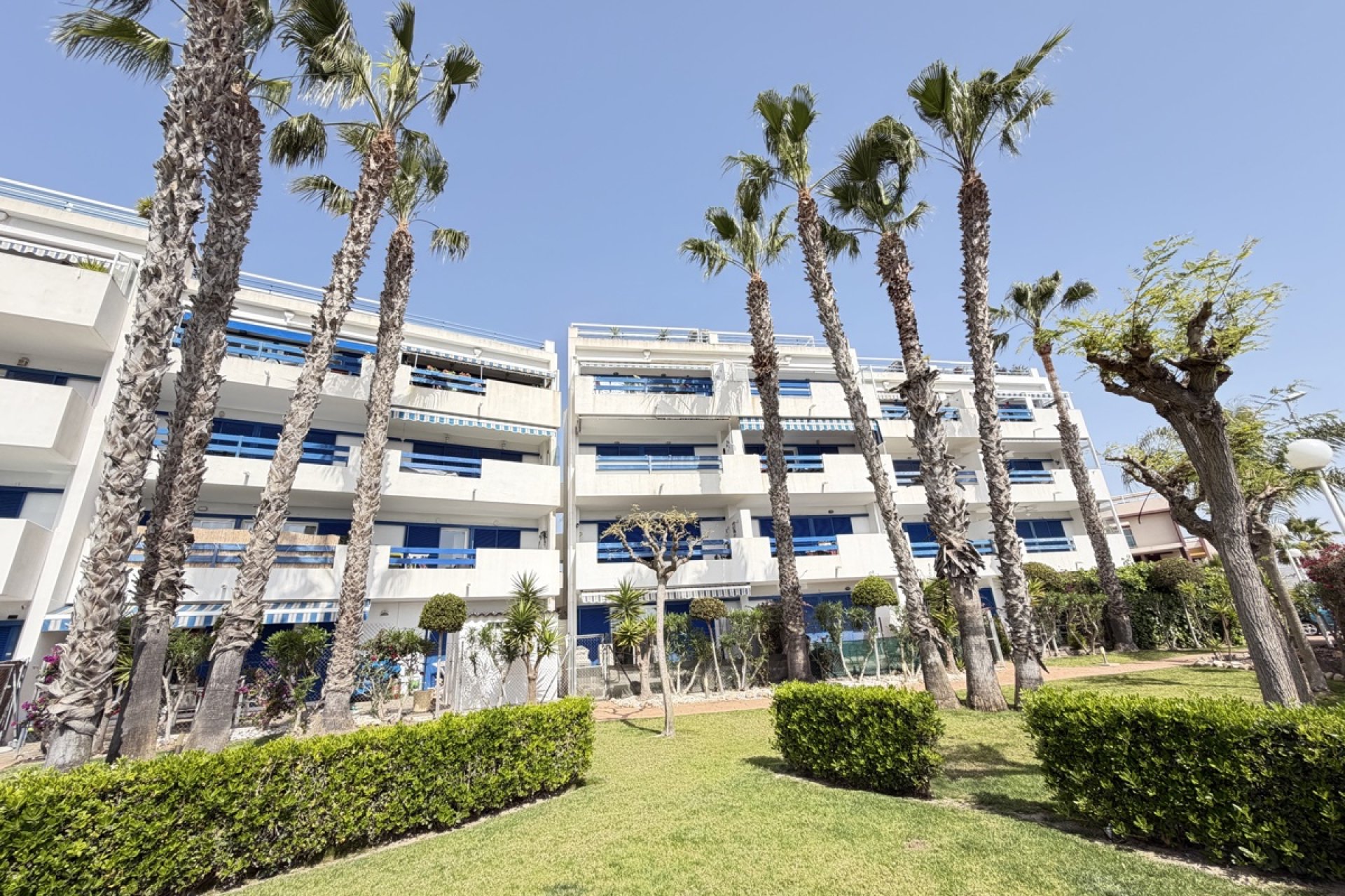 Reventa - Apartamento - Orihuela Costa - Playa Flamenca