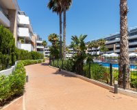 Reventa - Apartamento - Orihuela Costa - Playa Flamenca