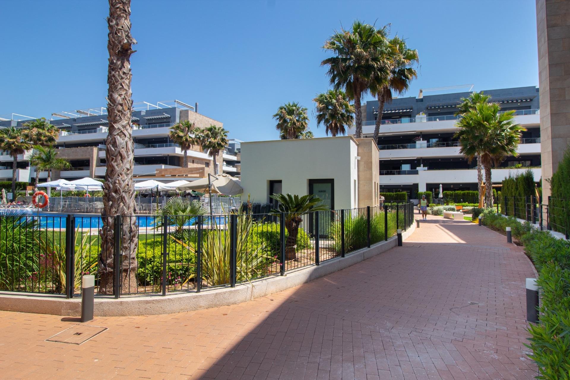 Reventa - Apartamento - Orihuela Costa - Playa Flamenca