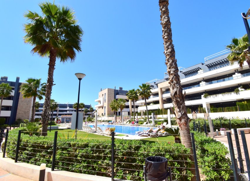 Reventa - Apartamento - Orihuela Costa - Playa Flamenca