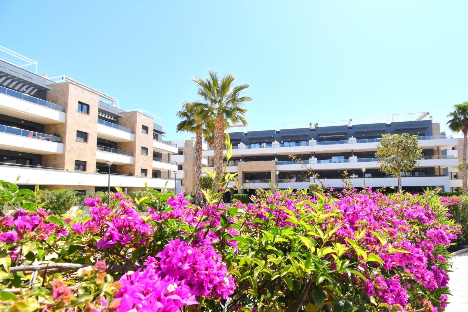 Reventa - Apartamento - Orihuela Costa - Playa Flamenca