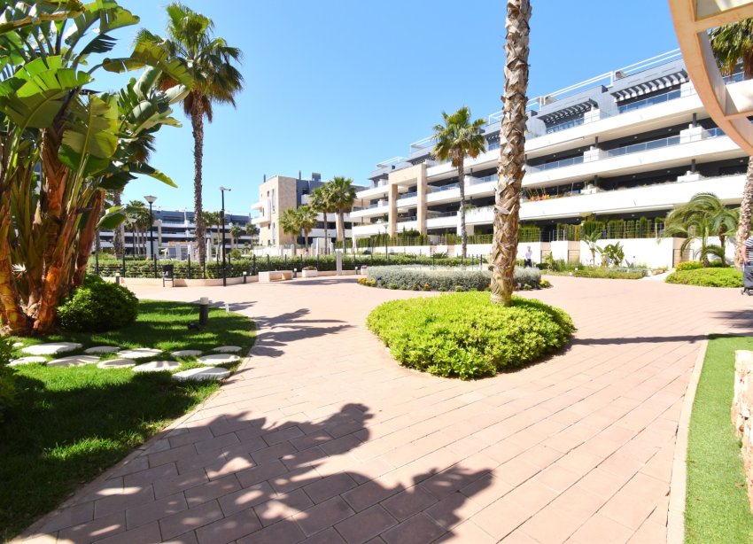 Reventa - Apartamento - Orihuela Costa - Playa Flamenca