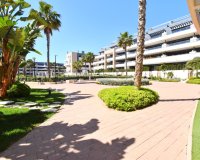 Reventa - Apartamento - Orihuela Costa - Playa Flamenca
