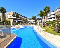 Reventa - Apartamento - Orihuela Costa - Playa Flamenca
