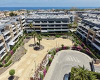 Reventa - Apartamento - Orihuela Costa - Playa Flamenca