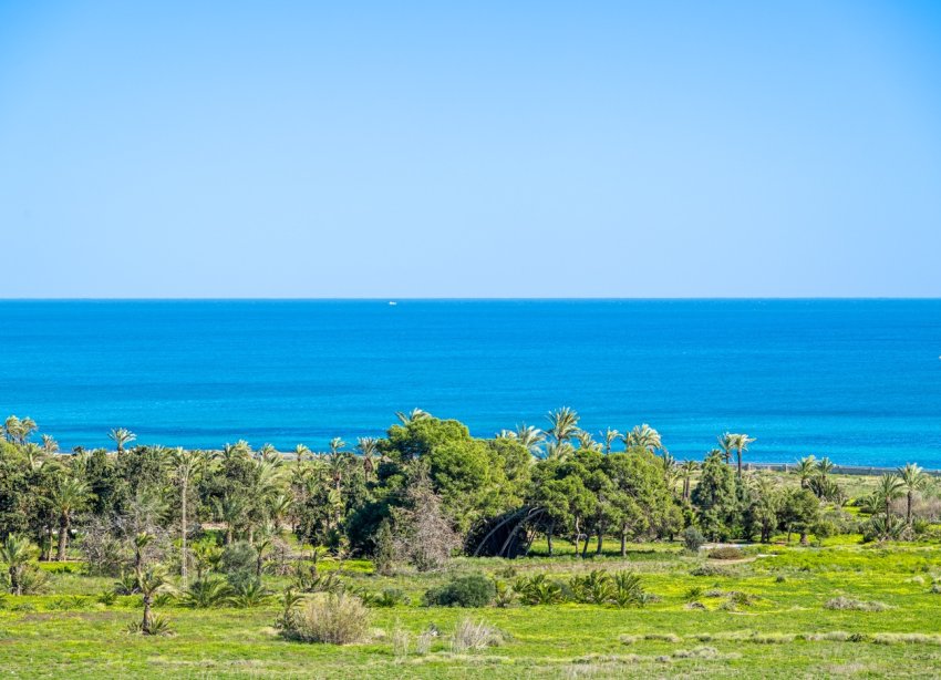 Reventa - Apartamento - Orihuela Costa - Punta Prima