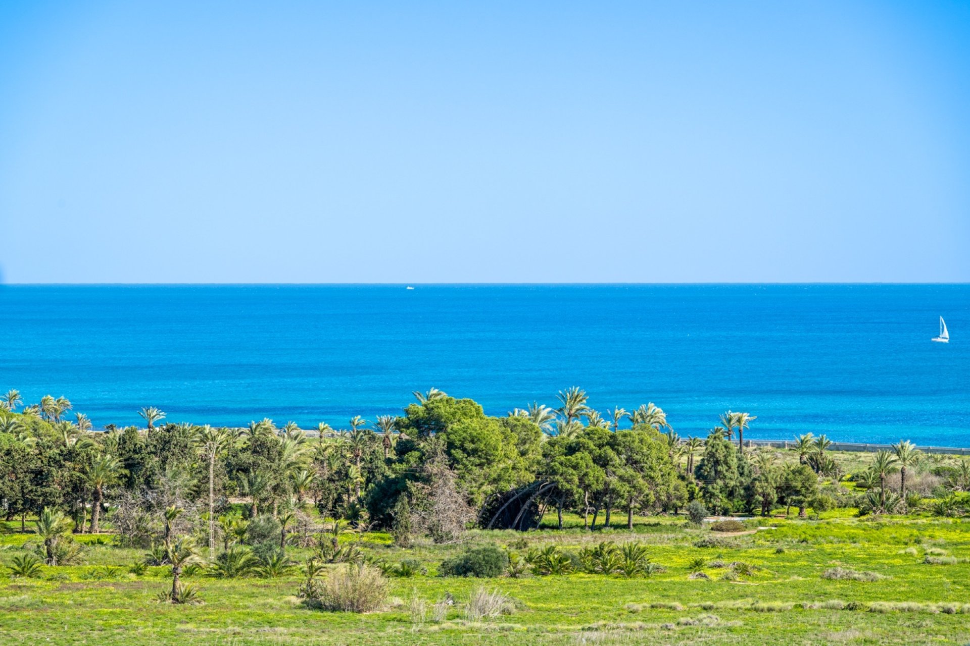 Reventa - Apartamento - Orihuela Costa - Punta Prima