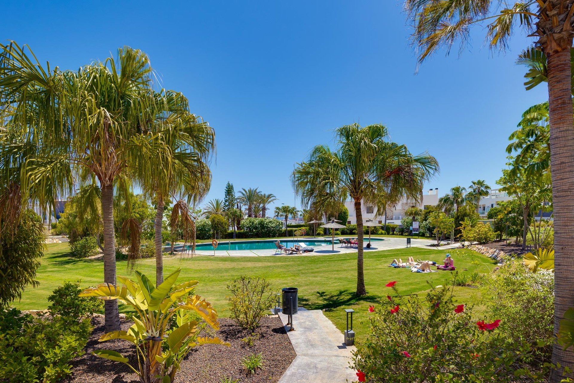 Reventa - Apartamento - Orihuela Costa - Punta Prima